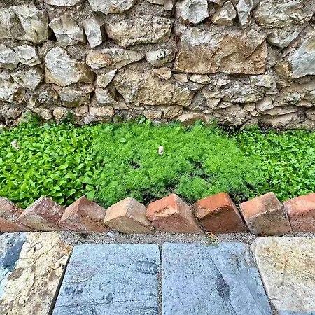 Vista Himarë
