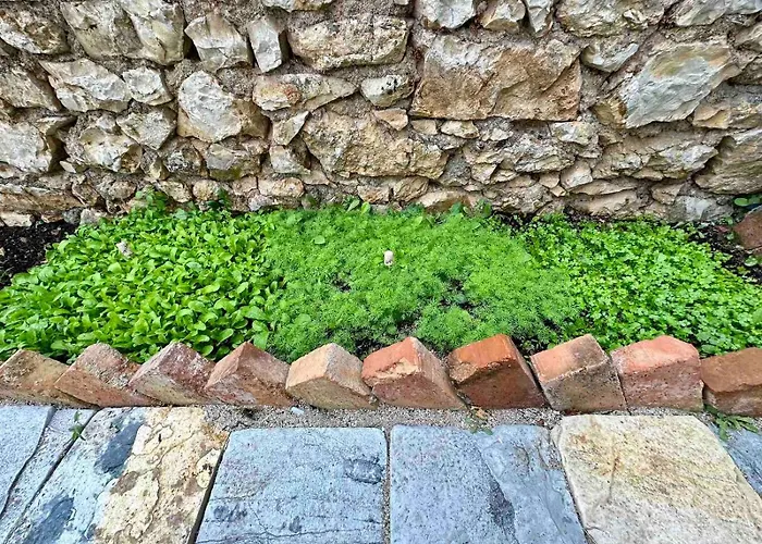 Vista 希马拉